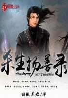 杀生扬善录封面