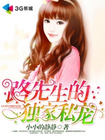 路先生的独家私宠封面
