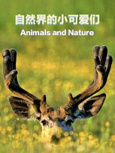 自然界的小可爱们封面