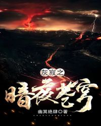 灰寂之暗夜苍穹封面