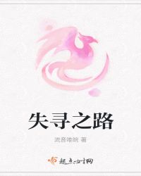 失寻之路封面