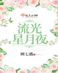 流光星月夜封面