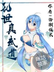 乱世真武道封面
