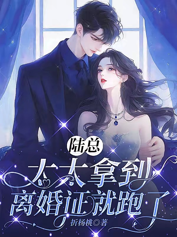 陆总，太太拿到离婚证就跑了封面