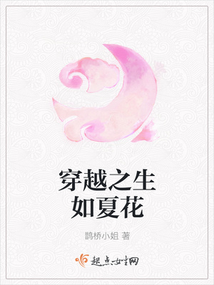 穿越之生如夏花封面