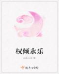 权倾永乐封面