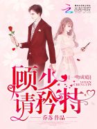 一吻成瘾：顾少，请矜持！封面