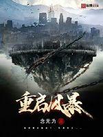 重启风暴封面