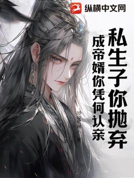 我可是私生子，谁把黄袍穿我身上封面
