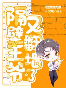 隔壁王爷又翻墙了封面
