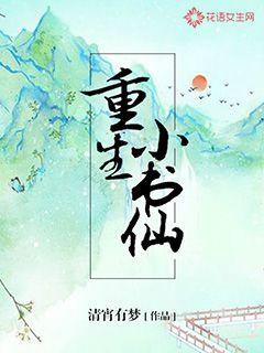 重生小书仙封面