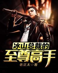 冰山总裁的至尊高手封面