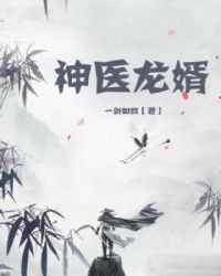 神医龙婿封面