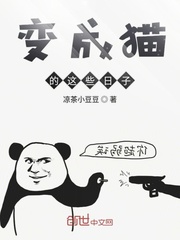 变成猫的这些日子封面