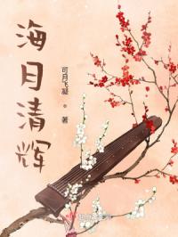 海月清辉封面