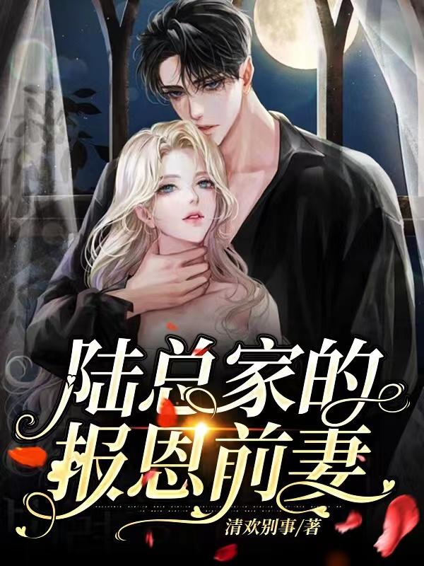 陆总家的报恩前妻封面