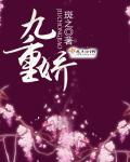 九重娇封面