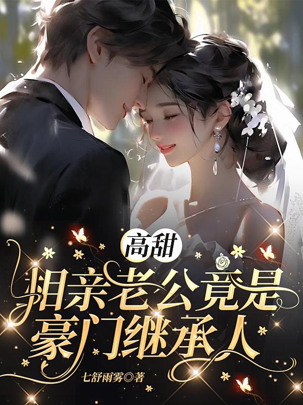 高甜，相亲老公是豪门继承人封面
