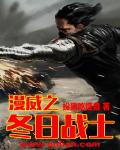 漫威之冬日战士封面