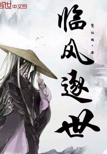 临风逐世封面