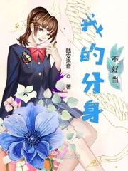 我的分身不好当封面