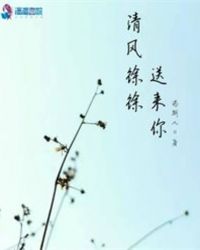 清风徐徐送来你封面