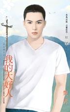 我的大好人封面