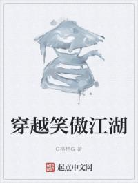 穿越笑傲江湖封面