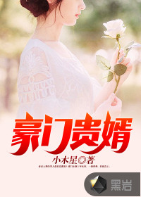豪门贵婿封面