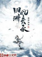 四洲风云录封面