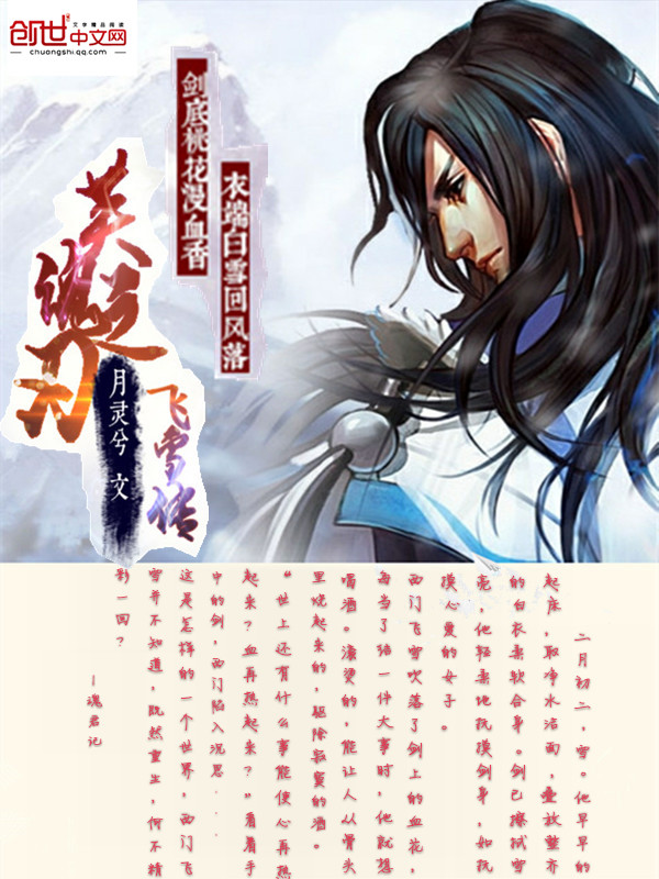 英魂之刃：飞雪传封面