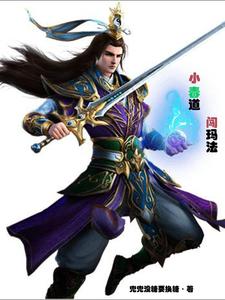 小毒道闯玛法封面