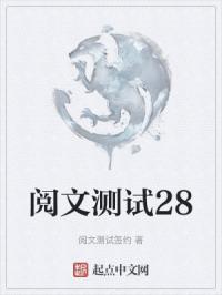 阅文测试28封面