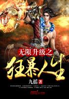 无限升级之狂暴人生封面