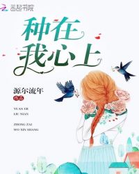 种在我心上封面