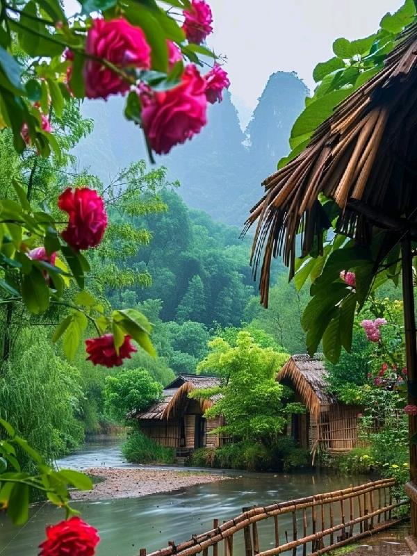 龙虎山出来的高手封面