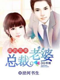 我的完美总裁老婆封面