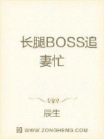 长腿BOSS追妻忙封面