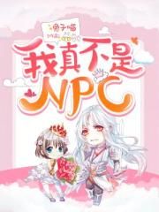 我真不是NPC封面