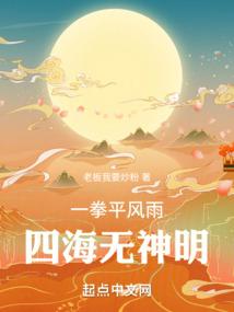 一拳平风雨，四海无神明封面