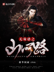 无双:山河一扇封面