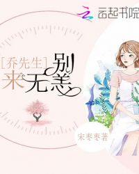 乔先生别来无恙封面