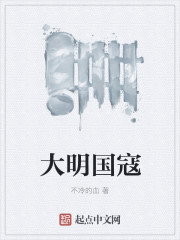 大明国寇封面