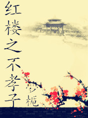 红楼之不孝子封面