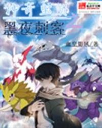 神奇宝贝之黑夜刺客封面