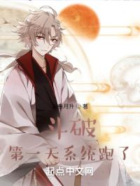 斗破，第一天系统跑了封面