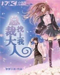 总裁大人找上我封面