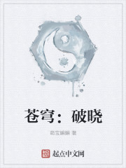 苍穹：破晓封面