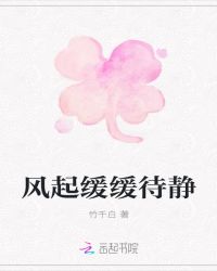 风起缓缓待静封面