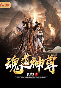 魂道神尊封面